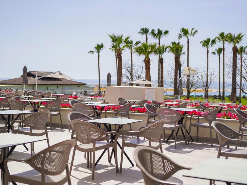 Terrasse vide avec chaises et tables, palmiers et vue sur la mer en arrière-plan par temps clair.
