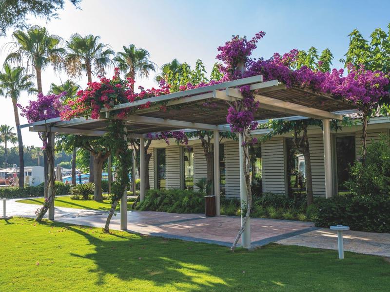 Hotel z zielonym tarasem i kwitnącymi roślinami pnącymi pod palmami w słoneczny dzień