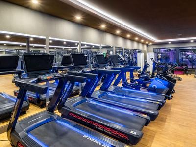Modern gym with treadmills and large mirrors on the wall.