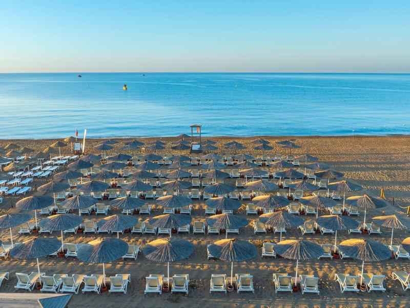 Plage vide avec des rangées de chaises longues et parasols tôt le matin.