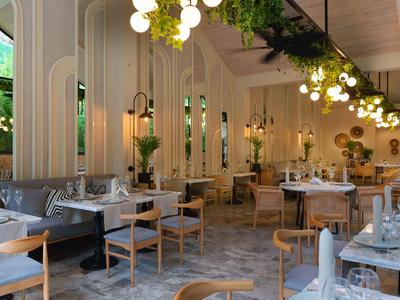 Ristorante luminoso e moderno con sedie in legno, piante e grandi specchi alle pareti.