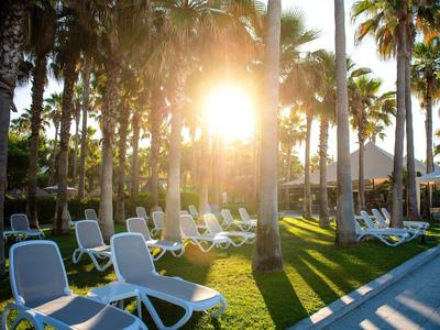 Luce solare tra palme con ombrelloni e sdraio vicino alla piscina.