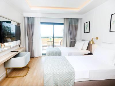 Camera d'hotel luminosa con letto matrimoniale, TV, scrivania e vista sulla terrazza.