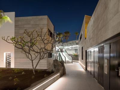 Moderner Innenhof mit Beleuchtung, glatten Betonwänden, Bäumen und klarem Nachthimmel.