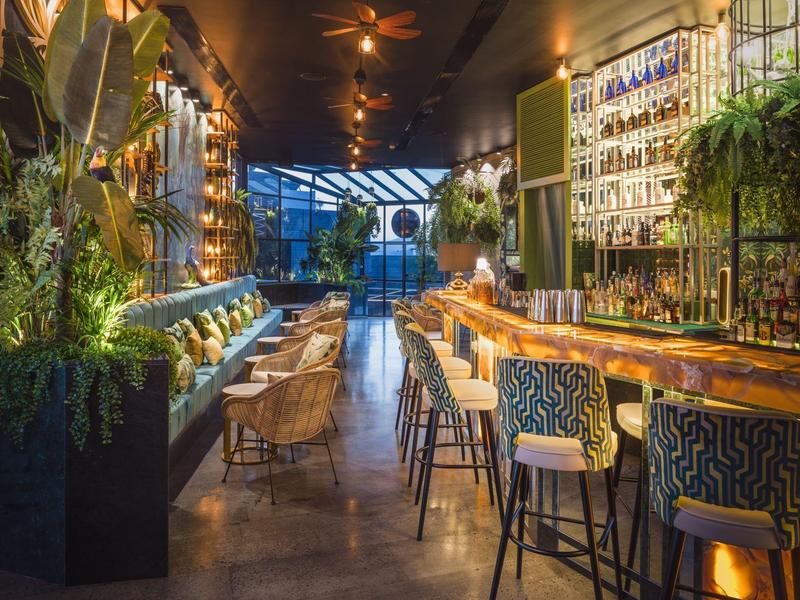 Moderne Bar mit LED-Beleuchtung, Holztheke, grünen Pflanzen und bequemen Sesseln, warme Atmosphäre.