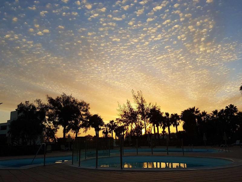 Sunset sky with palm trees and calm hotel pool in the foreground.
