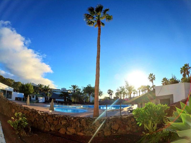 Swimming pool with palm trees, sunshine, and modern white buildings under a blue sky.