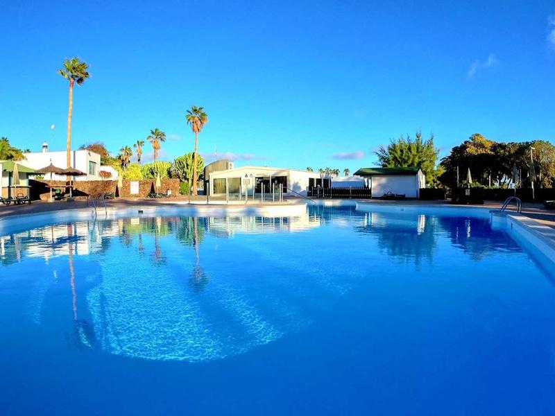 Large blue outdoor pool with palm trees and buildings under clear sky.