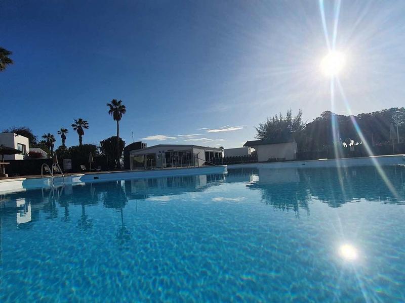 Spacious pool with clear blue water under sunny sky and palm trees in the background.