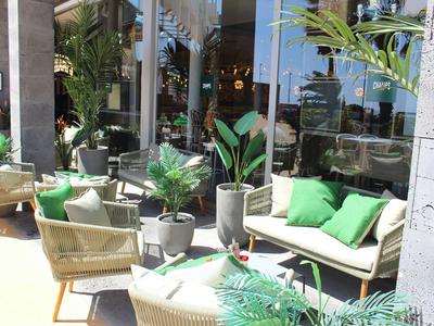 Moderne Terrasse mit Korbmöbeln, grünen Kissen und zahlreichen Pflanzen in Töpfen.