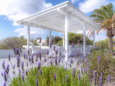 Weißes Gartenpavillon mit Sitzbereich, umgeben von Lavendel und Palmen unter blauem Himmel.