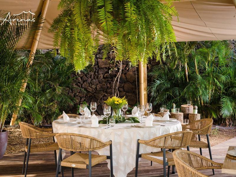 Runder gedeckter Tisch mit weißen Tüchern, Blumen in der Mitte, umgeben von Stühlen und Pflanzen.