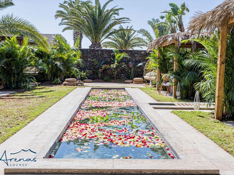 Langgestrecktes Wasserbecken mit bunten Blüten, umgeben von Palmen und tropischer Vegetation.