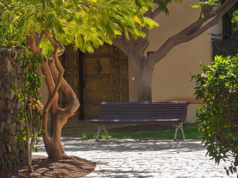 Schattiger Park mit Baum, grünem Laub und leerer Holzbank vor gelber Hauswand und Tür.