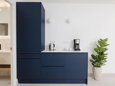 Moderne blaue Küchenzeile mit Kaffeemaschine und Topfpflanze vor weißer Wand.