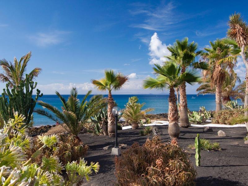 Palmen und andere Pflanzen auf schwarzem Lavaboden vor blauem Meer und Himmel.