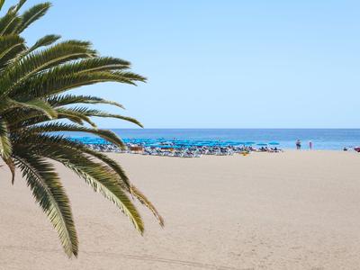 Strand mit Palmen und Liegestühlen am Meer unter klarem Himmel