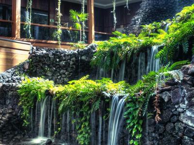 Mehrstufiger Wasserfall mit grünem Moos und Pflanzen in einem von Mauern umgebenen Garten.