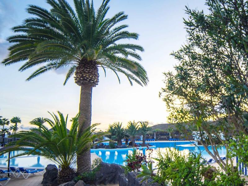 Zona de piscina de un hotel con palmeras y plantas florecientes al atardecer.