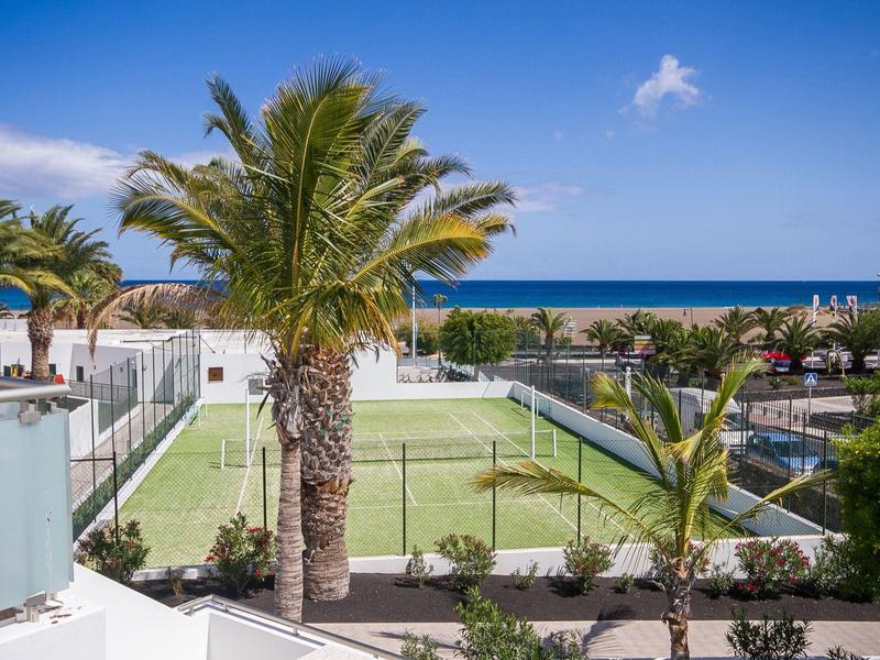 Vista di un campo da tennis all'aperto soleggiato circondato da palme con vista sul mare.