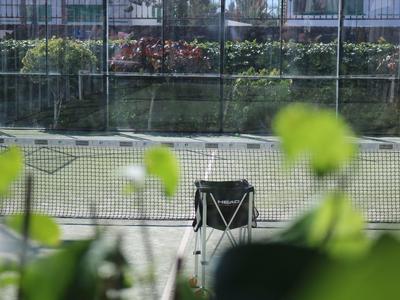 Leerer Klappstuhl steht auf einem Tennisplatz hinter einem Netz, umgeben von grünen Pflanzen.