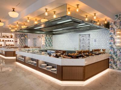 Modern buffet with spacious cooking area and stylish lighting in a hotel.