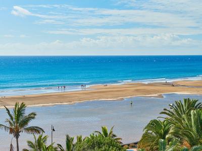 Weite Küste mit blauem Meer, Sandstrand und Palmen im Vordergrund unter blauem Himmel.