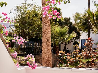 Petite table ronde avec boissons sur une terrasse blanche et des plantes en fleurs en arrière-plan.
