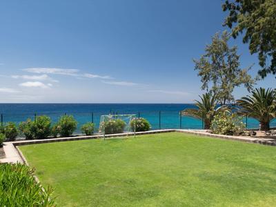 Green lawn overlooking the blue sea with some plants under a clear sky.