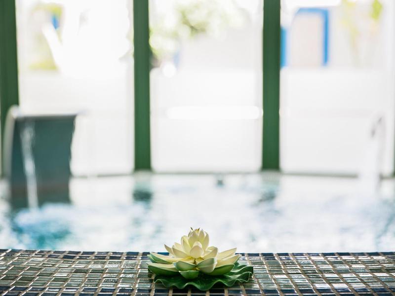 Bílý lotosový květ ležící na dlaždicovém okraji s rozmazaným pozadím bazénu.