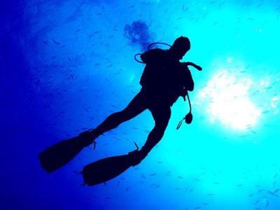 Taucher in Neoprenanzug mit Flossen schwimmt im tiefen blauen Wasser, Lichtquelle von oben.
