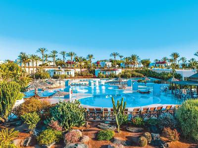 Großer Pool umgeben von Palmen und bepflanzten Beeten unter klarem blauem Himmel.