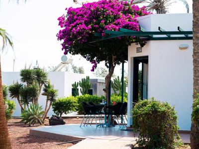 Haus mit Terrasse, blühendem rosa Baum und verschiedenen grünen Pflanzen in sonniger Umgebung.