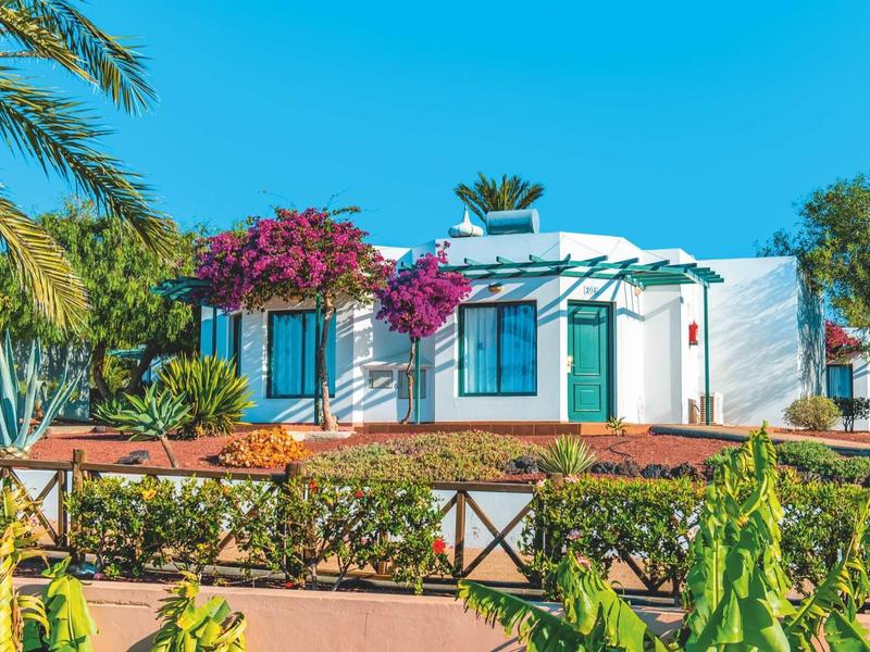 Weißes Haus mit grünen Fensterläden, umgeben von Palmen und blühenden Bougainvillea unter blauem Himmel.
