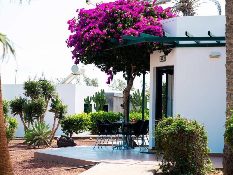 Haus mit Terrasse, blühendem rosa Baum und verschiedenen grünen Pflanzen in sonniger Umgebung.