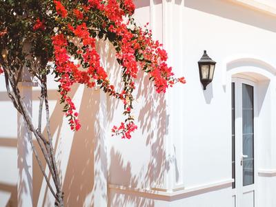 Červené květiny visí na bílé zdi domu s dveřmi a lucernou.