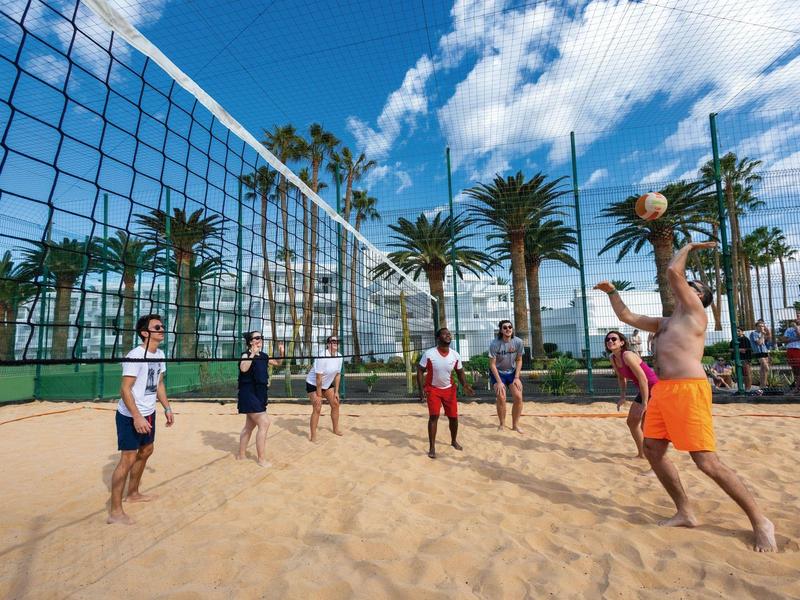 Persone che giocano a beach volley su un campo sabbioso con palme sotto un cielo azzurro.