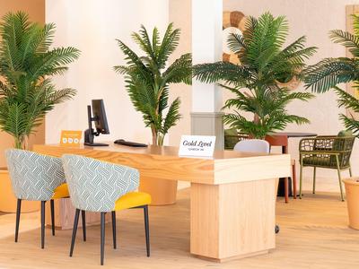 Modern reception area with wooden desk, plants, and chairs with yellow seats.