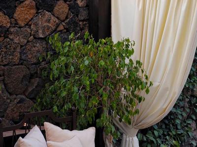 Przytulne miejsce do siedzenia z poduszkami, otoczone kamiennym murem i zasłoną.