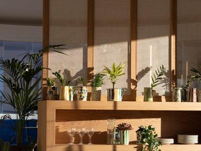 Mensola moderna con piante e stoviglie in una camera d'albergo luminosa e accogliente.