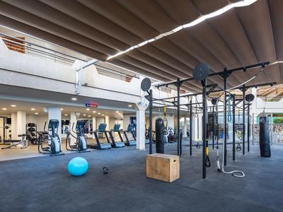 Großer Fitnessraum mit Geräten, Hantelbereich, blauer Gymnastikball und Klettergerüst.
