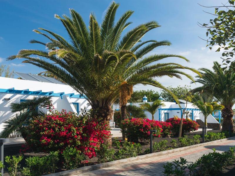 Palme e cespugli fioriti lungo un sentiero in un giardino soleggiato dell'hotel.