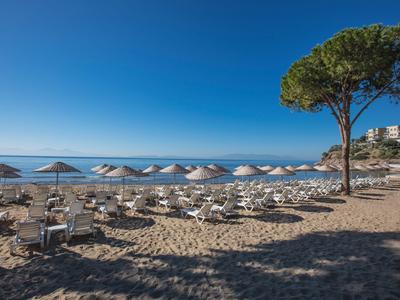 Sandstrand mit Liegestühlen, Sonnenschirmen und einem Baum unter blauem Himmel am Meer.
