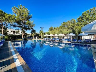 Klares Außenpool mit Liegestühlen und Sonnenschirmen neben Bäumen und blauem Himmel