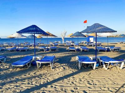 Spiaggia sabbiosa con lettini blu e ombrelloni vicino al mare sotto un cielo limpido