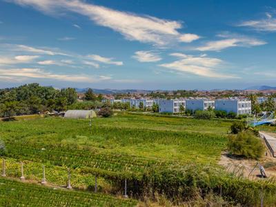 Paesaggio verde con vigneti e edifici moderni sotto un cielo blu.