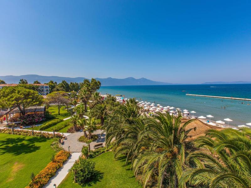 Vue aérienne d'une plage bordée de palmiers sous un ciel bleu clair.