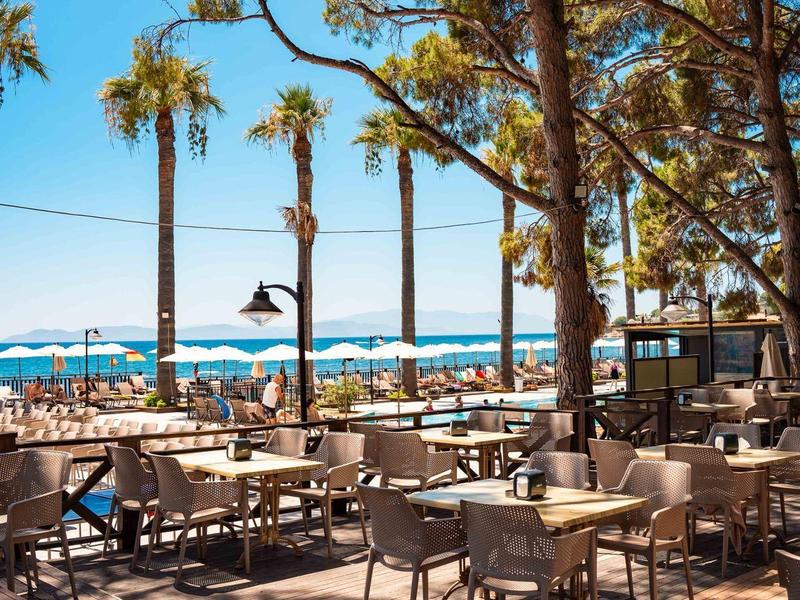 Słoneczny taras przy plaży z stołami i krzesłami pod dużymi drzewami i widokiem na morze.