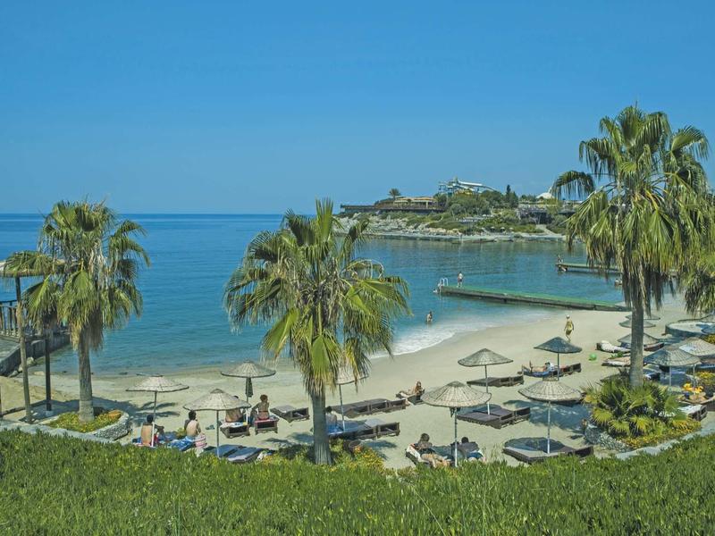 Beach with lounge chairs, palm trees, and clear blue water on a sunny day.