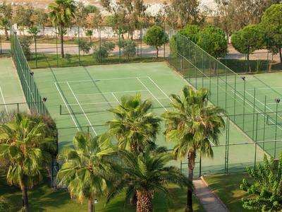 Blick auf einen Tennisplatz mit grünen Palmen und Bäumen im Vordergrund.